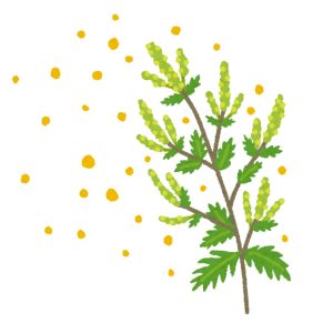 plant_butakusa_kafun